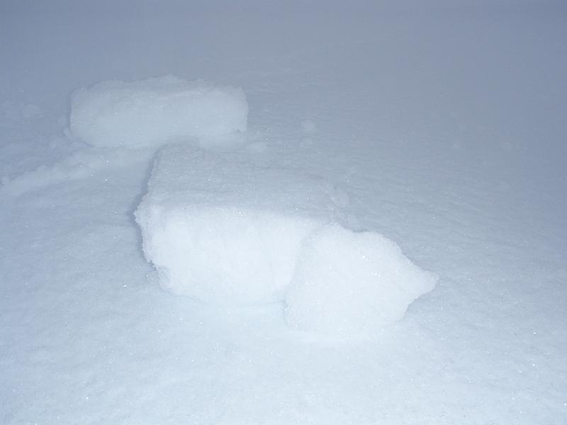 Snow crystals.JPG